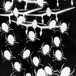 wo0dle's profile picture. 