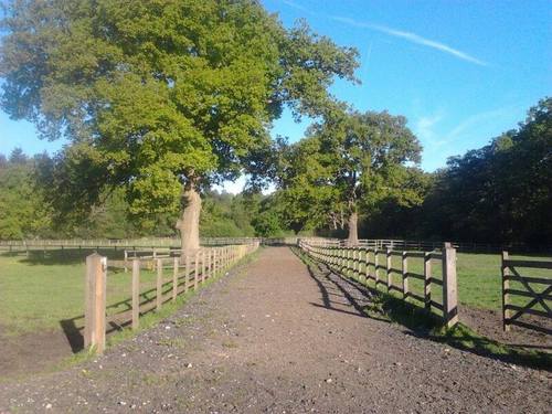 StanleyHillEC's profile picture. Stanley Hill Equestrian Centre, Stanley Hill, Pirbright, Surrey GU24 0DN
Situated in beautiful countryside with easy access to the M3 and M25.