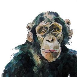 I draw people, animals, and other things.