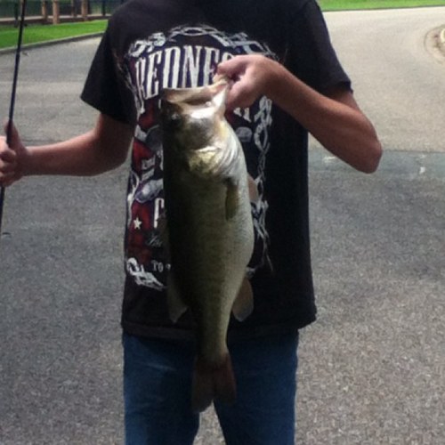 Tips4anglers's profile picture. Every fisherman needs to follow this page. Need to know tips for every beginner.