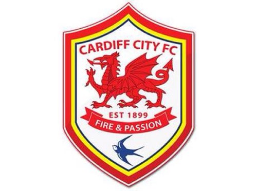 Specialising in providing you the best odds for Cardiff City. Part of bestoddsmanagement @bestodds_