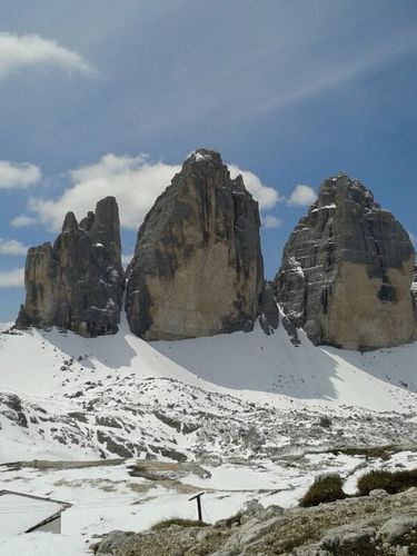 Francesco Riva Profile