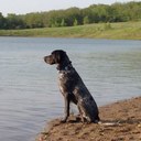 Paul Stender - @PaulStender - Twitter