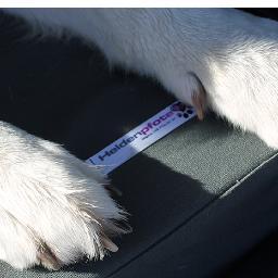 Wenn Stil Pflicht ist - Online-Hundeshop mit handmade Produkten für echte Helden Impressum: http://t.co/34xfT42jfo