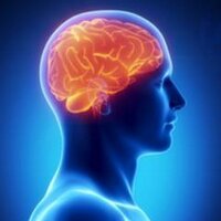 Steven Lokwan PhD (@stevenlokwan) Twitter profile photo