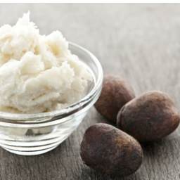 MidWinterShea's profile picture. Shea Butter Global Exporter ~ Epila - Samba Family Joint Venture ~ Fair Trade Organic and Lots of fun!