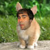 Catric Meowie (@cmeowie) Twitter profile photo