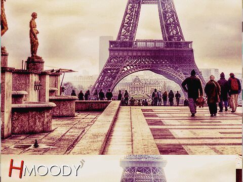 Ask me « instagram : Ma7ody .. college student