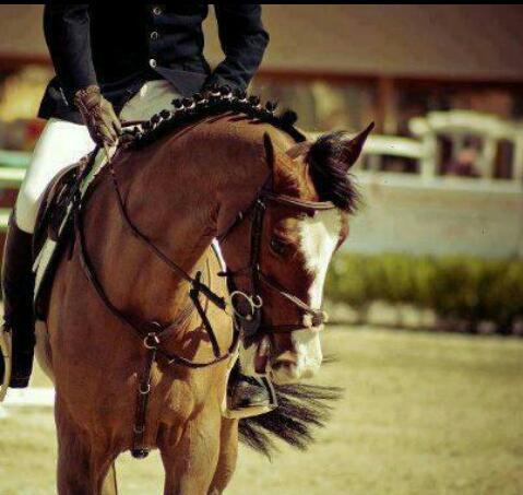 fatooom674's profile picture. 