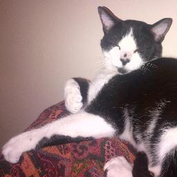 Max_Anarchies's profile picture. White noise.