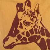 GAPAO31's profile picture. [GAPAO31とは]日々､幸せになりたいと願っています。
[好きなもの]SuperJunior・リョウク・韓国

#ELFﾇﾅline No. 44 
#EXOover90 No. 64