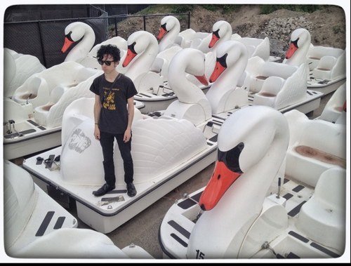 nick zinner Profile