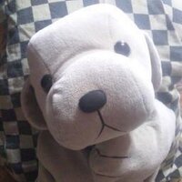 八重歯狂 (@yaeba_kyou) Twitter profile photo