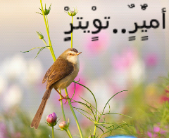 citech0679's profile picture. 