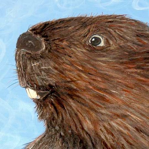 evilcomp's profile picture. AAA indie game developer of Fez 2, pls check it out here on http://t.co/DaGkRB8nVC, luv u except no homo unless you want in which case still no homo cuz im str8