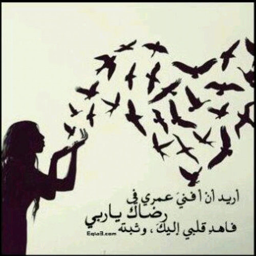 quraanr Profile Picture