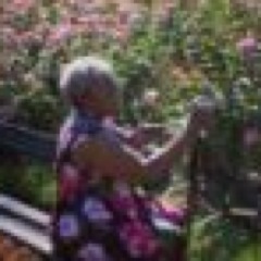 Tech Coach, Quilter,Photographer