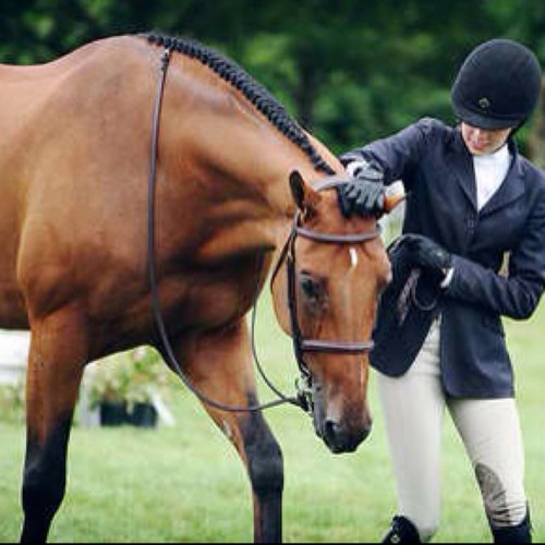 horse_issues's profile picture. Best animal ever put on this earth was a horse