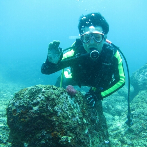 YuanShuai5's profile picture. 技术宅|热衷与开源和linux|喜欢编程|有点儿小清新|