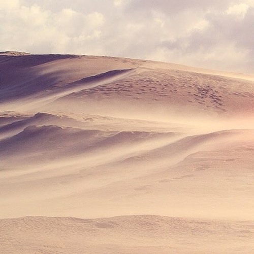 أَسْتَبْصِرُ النُّوْرَ فِيه...............