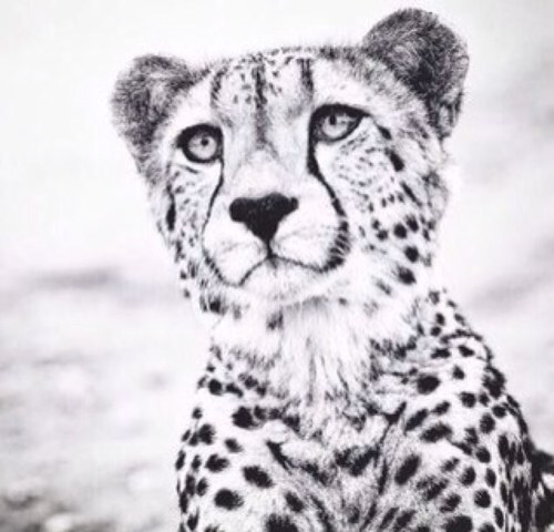 قُـل الحمدالله مادُمت في صِحه ♡