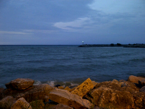 woodman121's profile picture. 