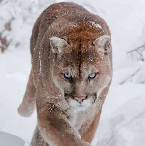 sinjinbugs's profile picture. Voted for some change and I find it strange that it's all I've got in my pocket.