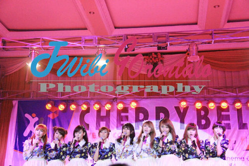 Please follow our new official fanbase ' @Twibi_GTLO '. Thanks, Twibs! ☺