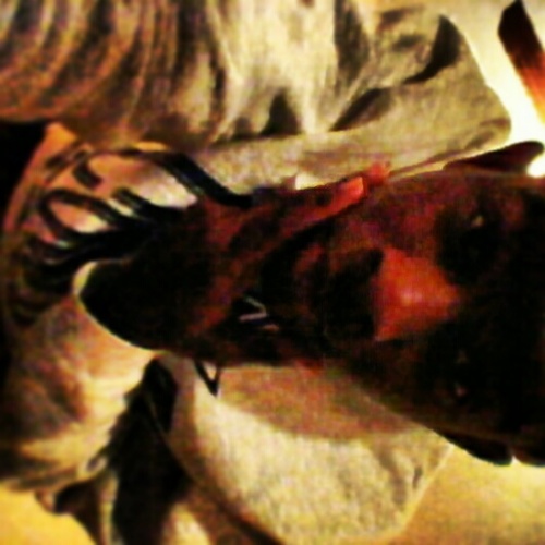 WATZ GOOD. Follow me and ill follow back,|NEHS| #neva broke always gettn dowe |trappin is life | so hit follow