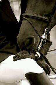 goodie2shoeseq's profile picture. The good girl equestrians. T, K, & E tweeting our good girl life.