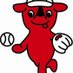 千葉大学女子ソフトボール部 (@chibajsoftball) Twitter profile photo 千葉大学女子ソフトボール部 (@chibajsoftball) Twitter profile photo