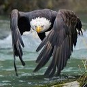 Caleb Hoffmann - @Calebhoffmann - Twitter