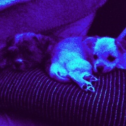 kaykaypalmer's profile picture. 