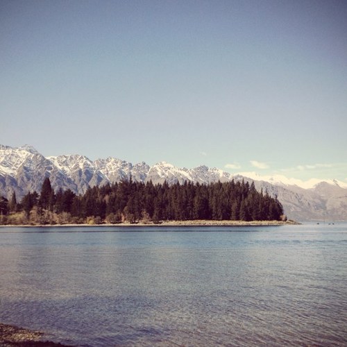 areej_dr's profile picture. Assistant Professor in Clinical Pharmacology/Pharmacometric