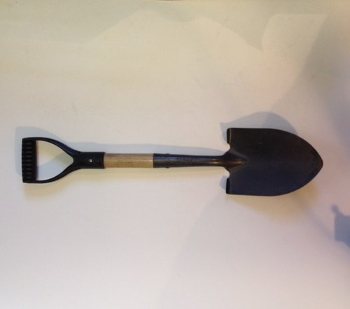 bigscottone's profile picture. 