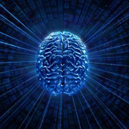 ZangeziOrg's profile picture. Проект о передовых областях науки сознания. Модератор @amalakhov