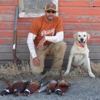 Corey Nicholsen (@coreynicholsen) 's Twitter Profile