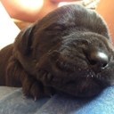 bailey biggs - @itsbaileybiggs - Twitter