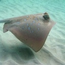 Walter Albert - @WalterAlbert7 - Twitter