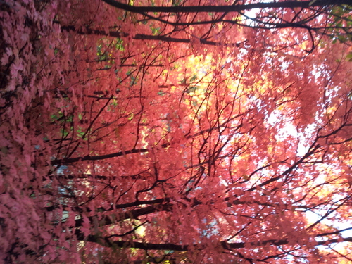 ameaux23's profile picture. 