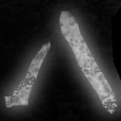 Alphahunterband's profile picture. Rock band from Manawatu, New Zealand.