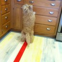 Lois Quick - @loisquick - Twitter