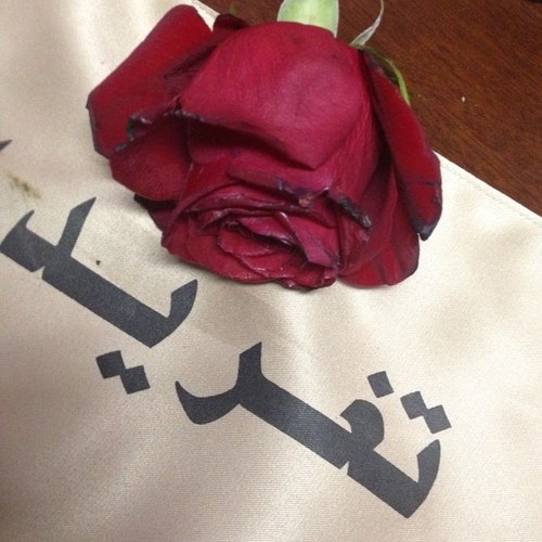 At 89 , September girls , IT graduate form @KSU , Loving volunteer @mojtm3e , Missing My DAD (Allah yr7mh )