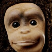Monkey (@monkeyconti) 's Twitter Profile
