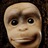 monkeyconti's profile image