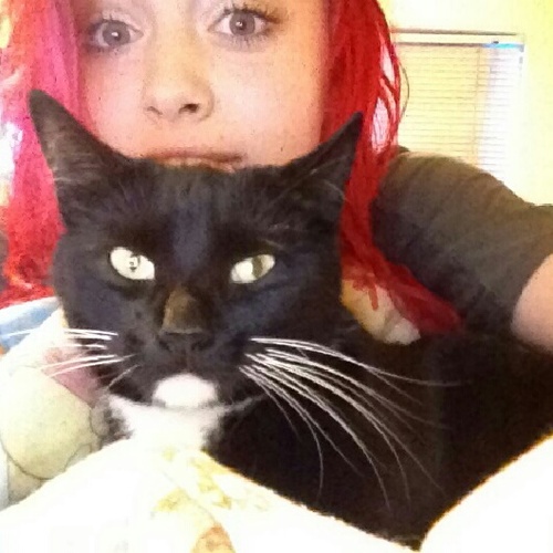 i love my cat and peach tea.
