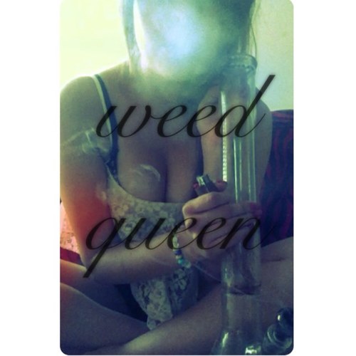 i stay high in sc, california