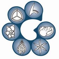 The Micropalaeontological Society (TMSoc)(@MicropalaeoSoc) 's Twitter Profile Photo