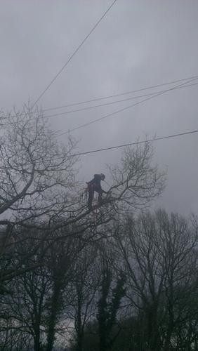 From all types of construction work to tree work we've got it covered