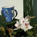 Dee Smith - @DeeSmit37675060 - Twitter